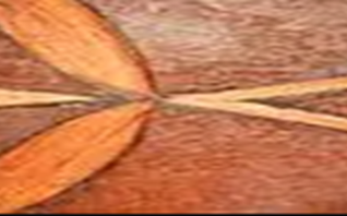 Fine Art Conservation Services